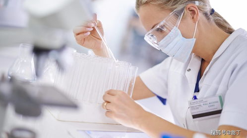 宜宾试管代生代怀全流程揭秘：从胚胎培养到成功分娩的真实经历